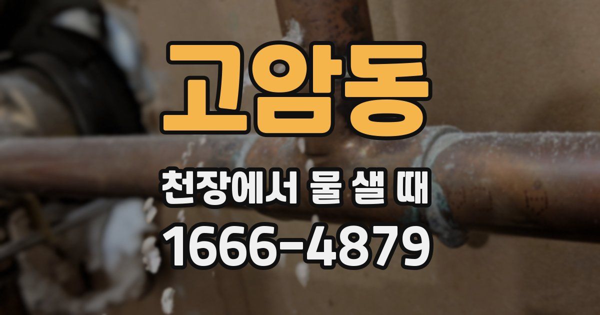 고암동 천장에서 물 샐 때