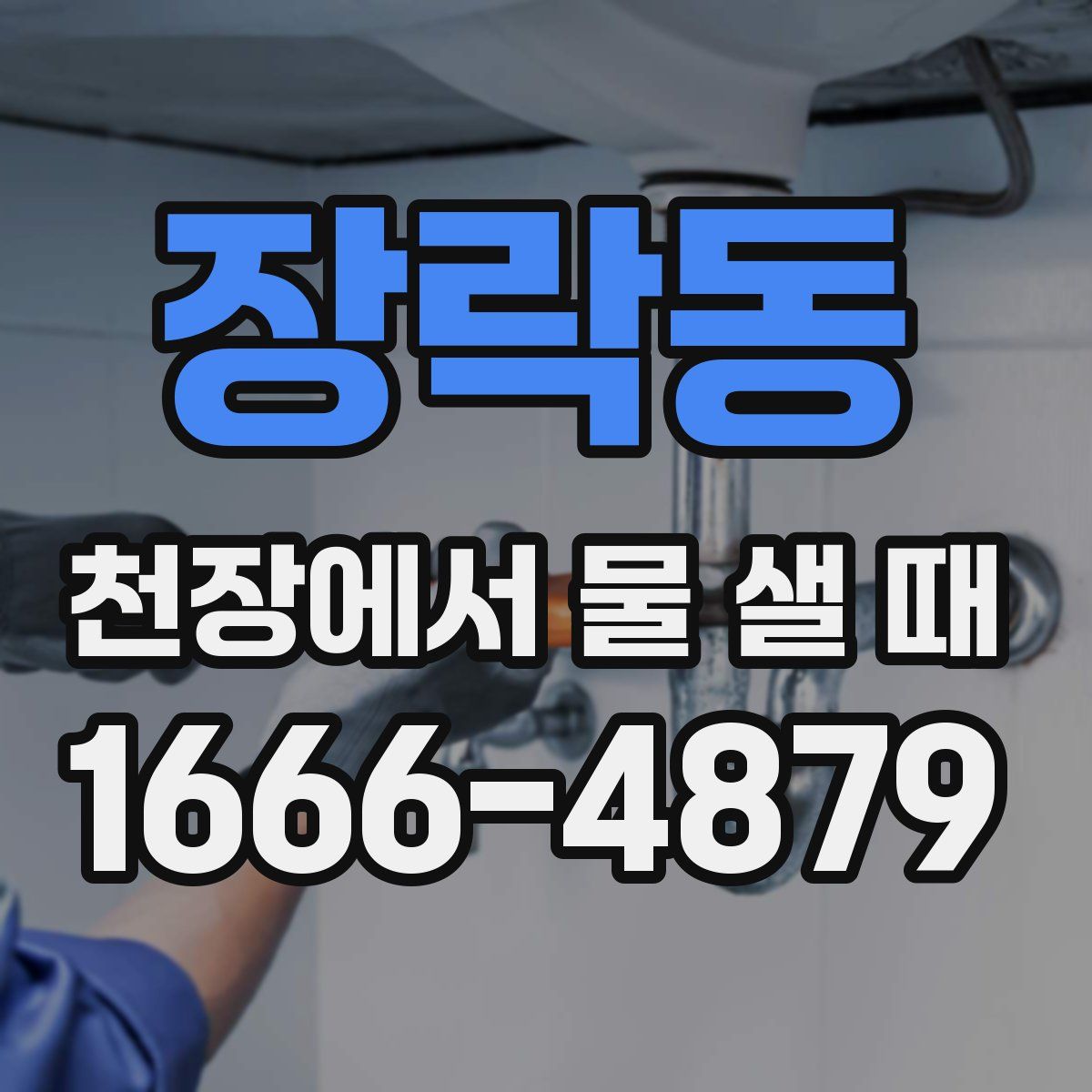 장락동 천장에서 물 샐 때