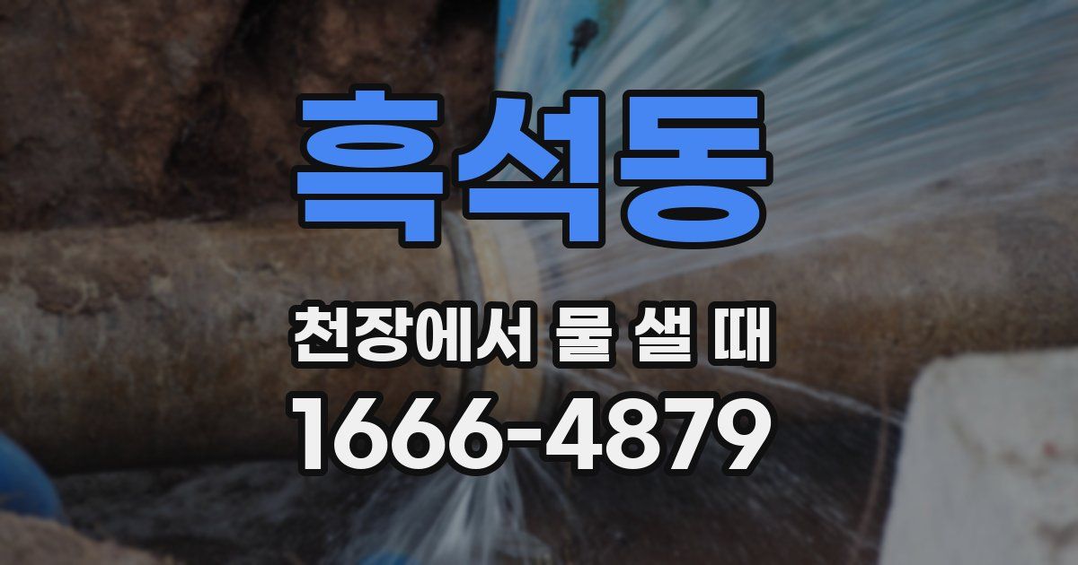 흑석동 천장에서 물 샐 때