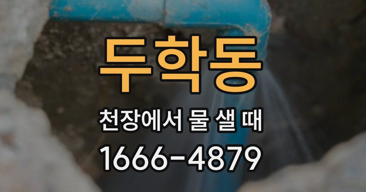 두학동 천장에서 물 샐 때