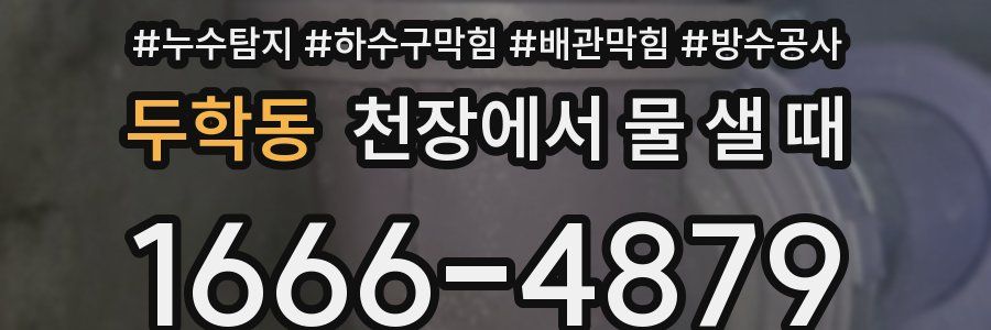 두학동 천장에서 물 샐 때