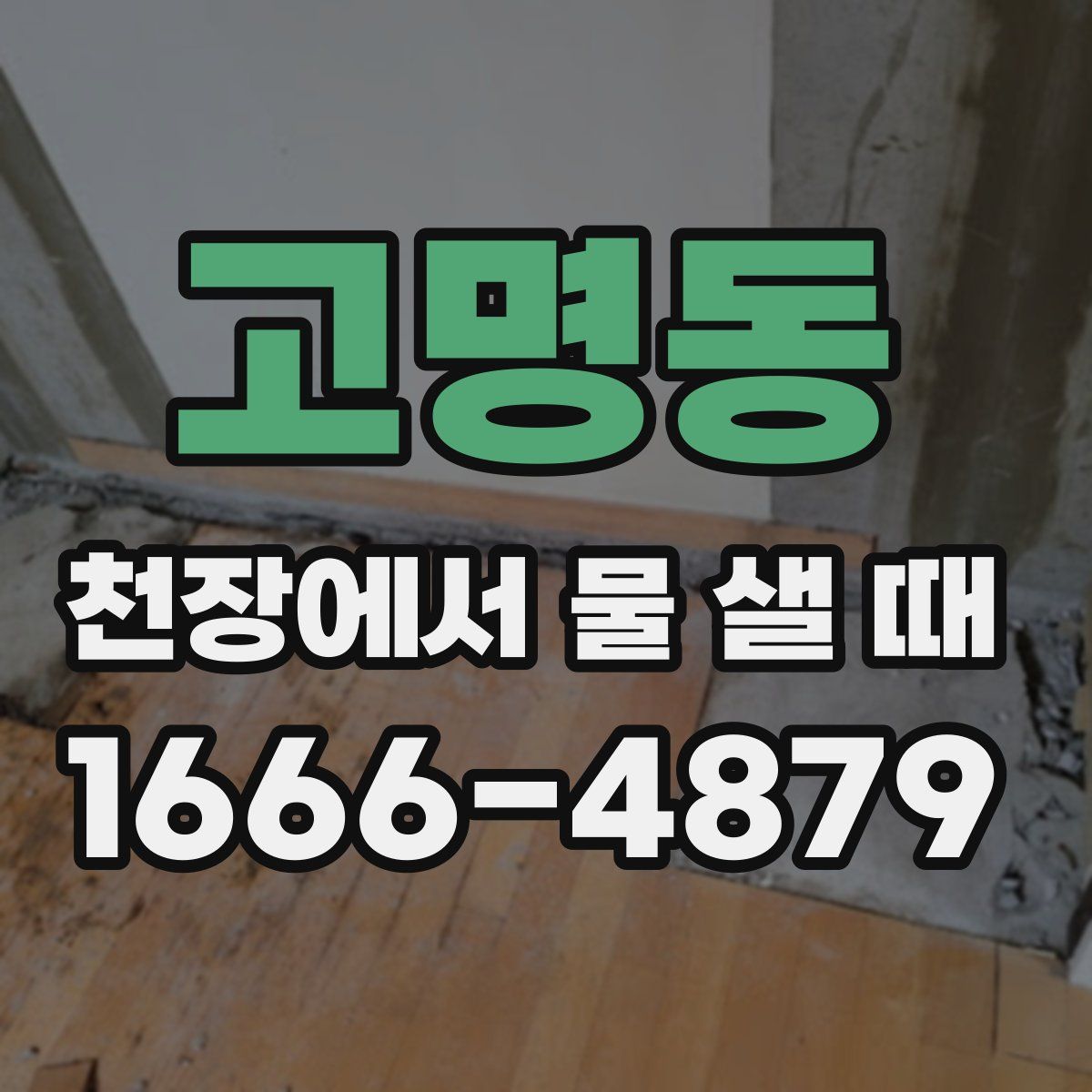 고명동 천장에서 물 샐 때