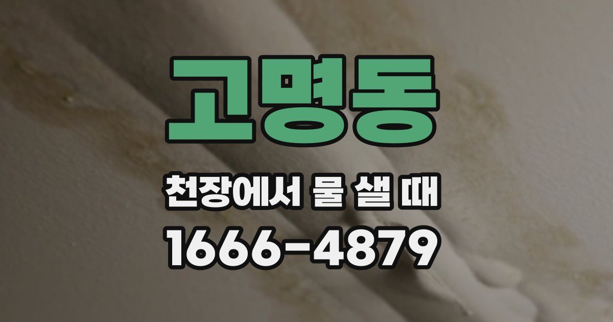 고명동 천장에서 물 샐 때