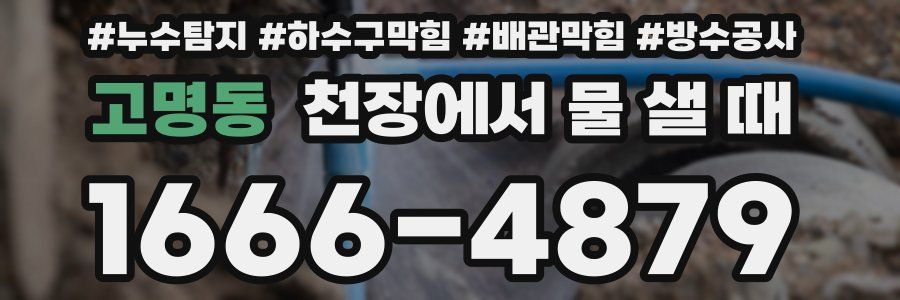 고명동 천장에서 물 샐 때