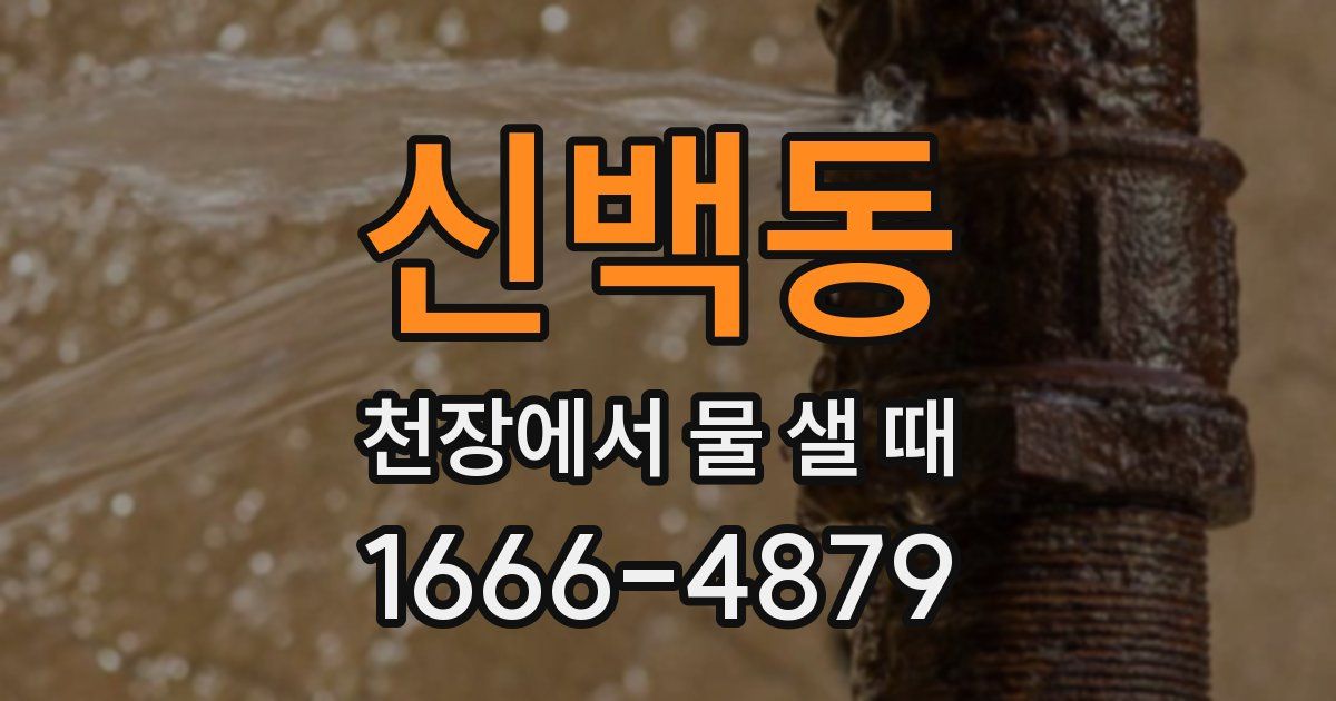신백동 천장에서 물 샐 때