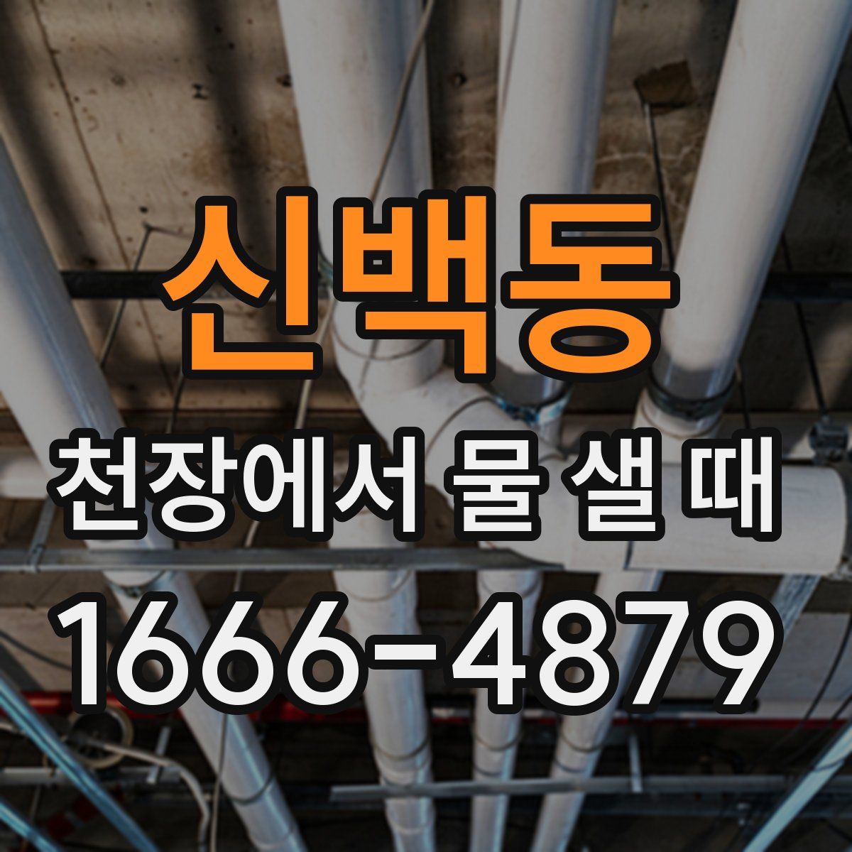 신백동 천장에서 물 샐 때