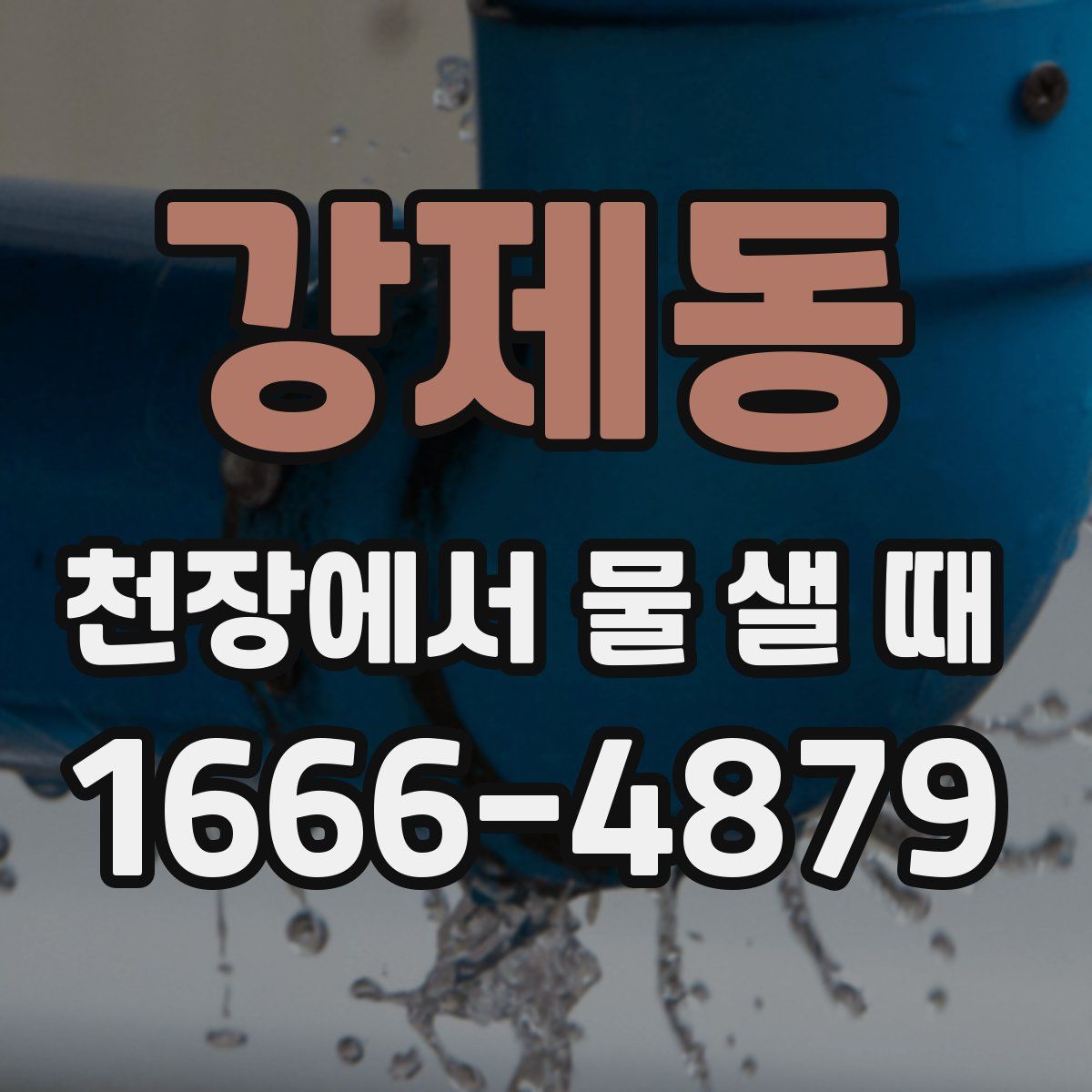 강제동 천장에서 물 샐 때