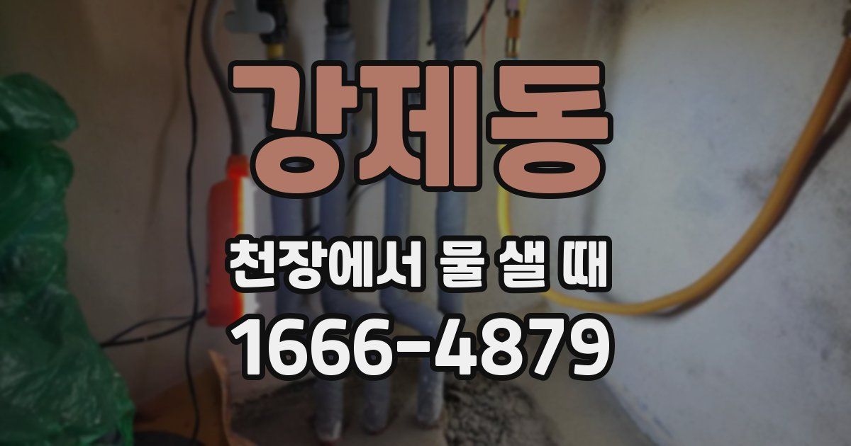 강제동 천장에서 물 샐 때
