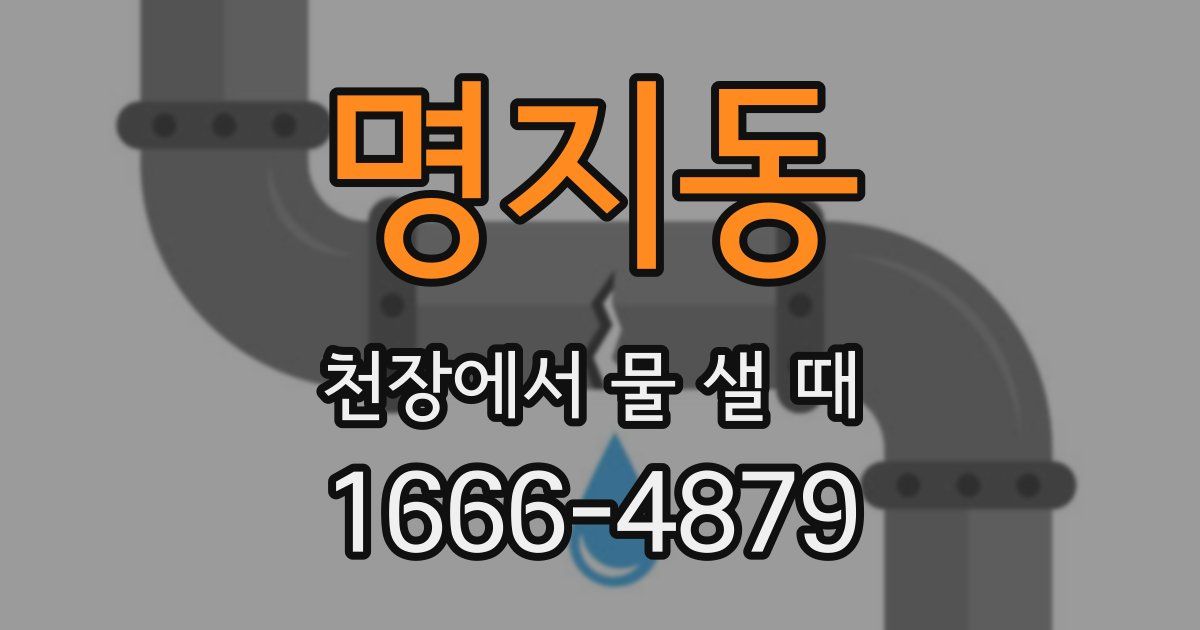 명지동 천장에서 물 샐 때