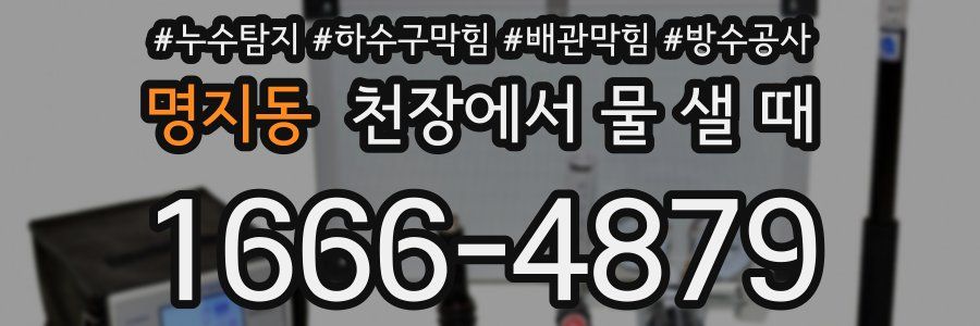 명지동 천장에서 물 샐 때