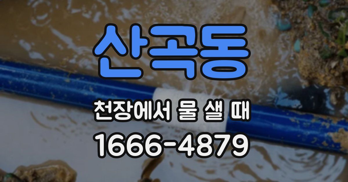 산곡동 천장에서 물 샐 때