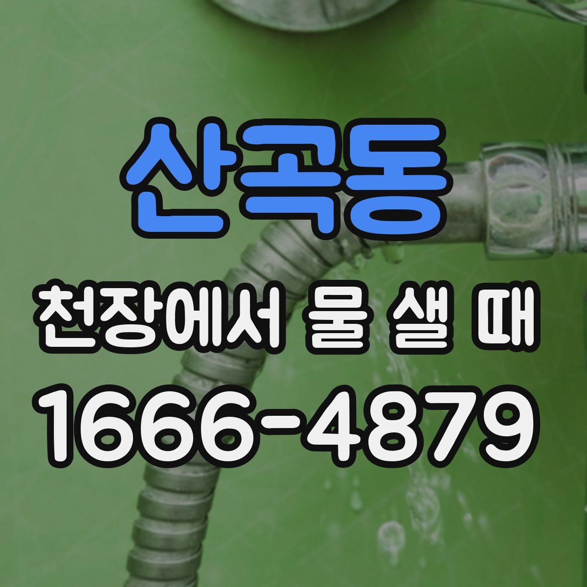 산곡동 천장에서 물 샐 때