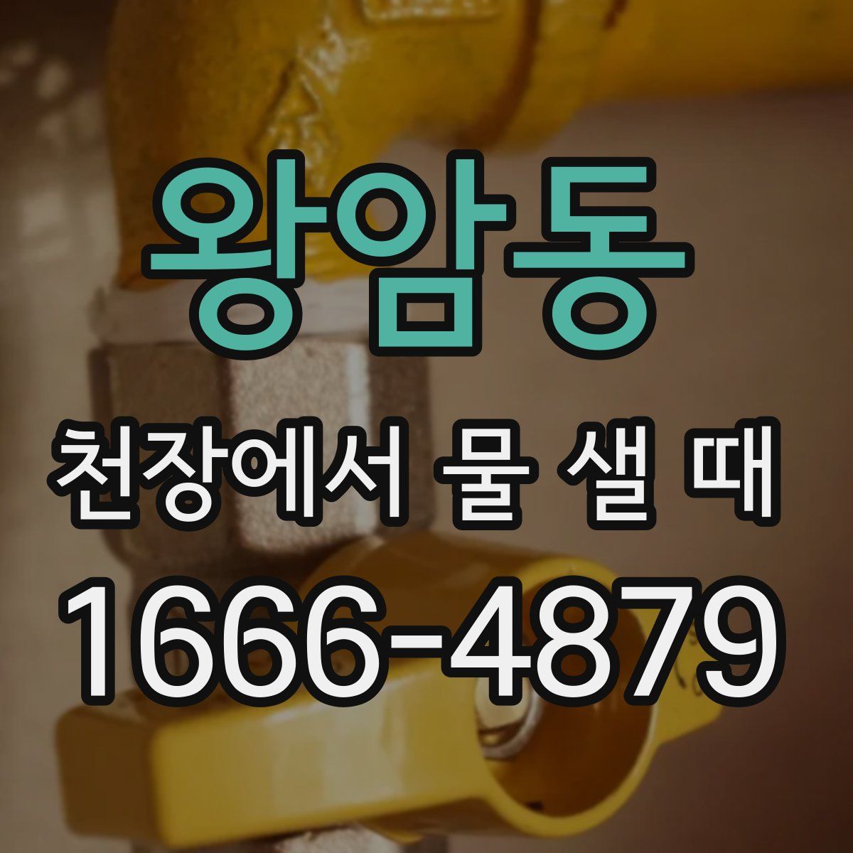 왕암동 천장에서 물 샐 때