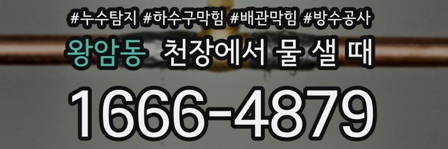 왕암동 천장에서 물 샐 때