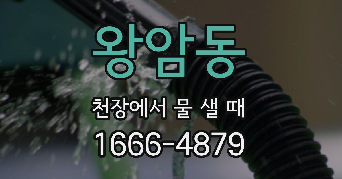 왕암동 천장에서 물 샐 때