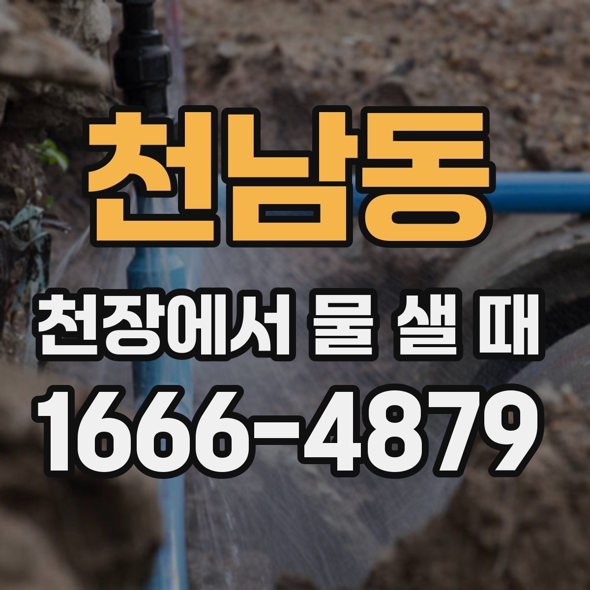 천남동 천장에서 물 샐 때