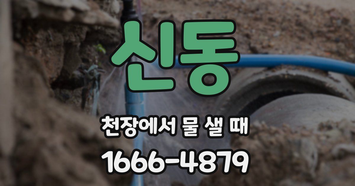 신동 천장에서 물 샐 때