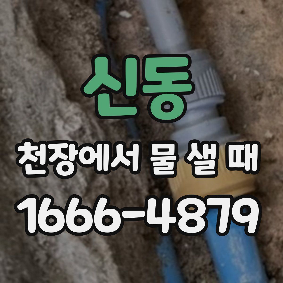 신동 천장에서 물 샐 때