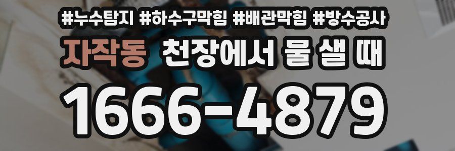 자작동 천장에서 물 샐 때