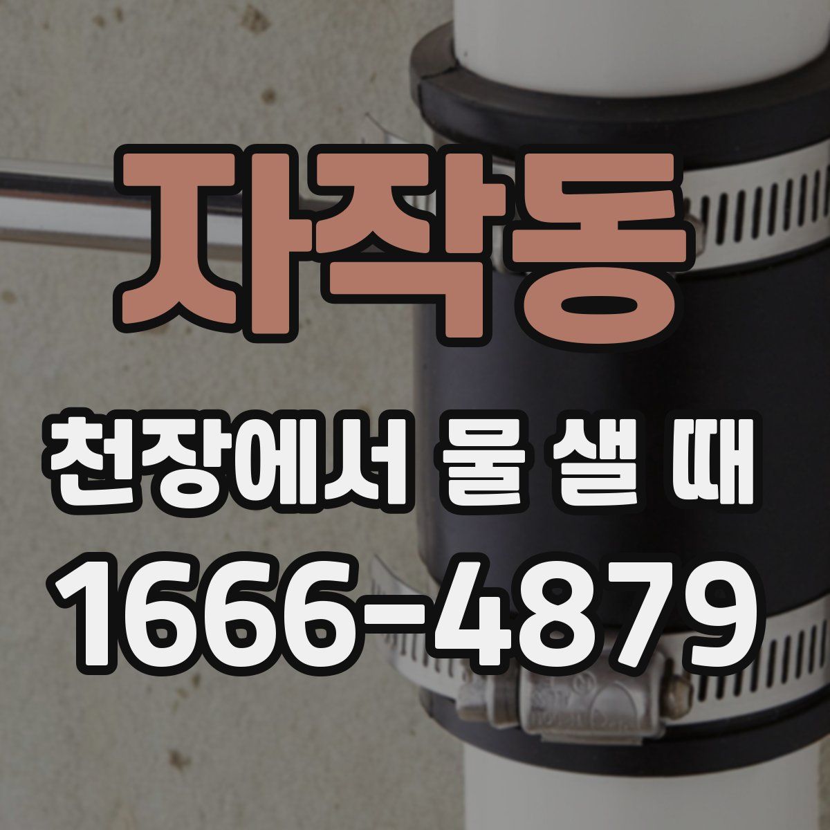 자작동 천장에서 물 샐 때