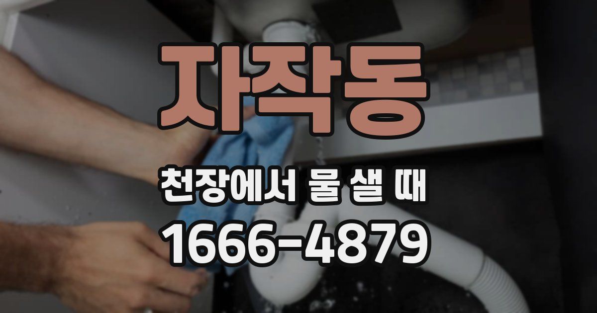 자작동 천장에서 물 샐 때