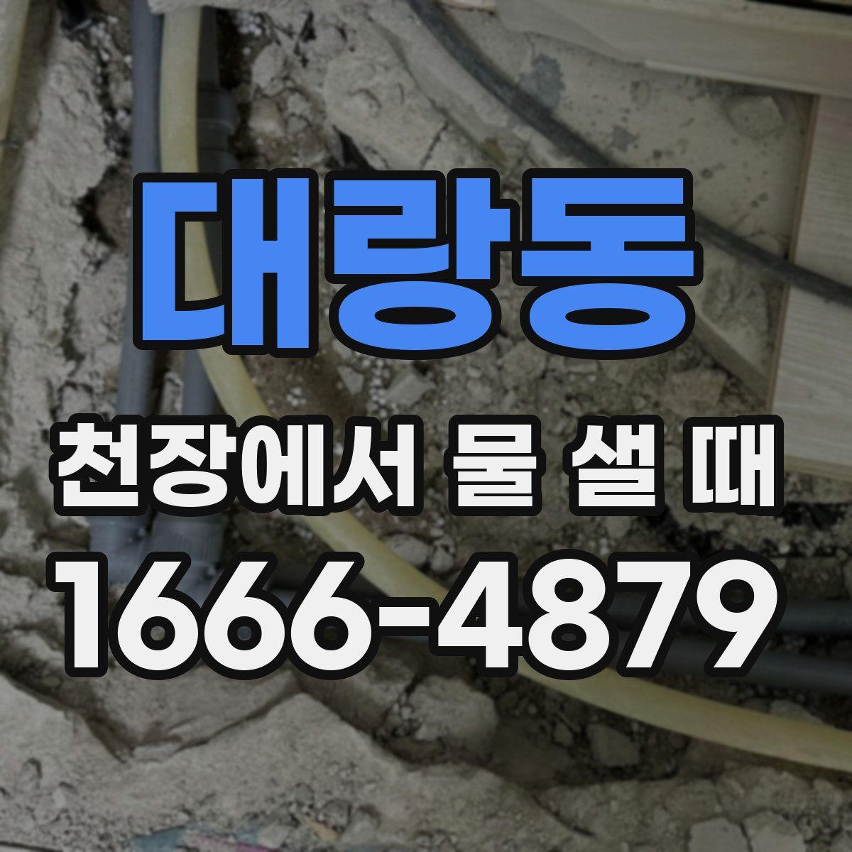 대랑동 천장에서 물 샐 때