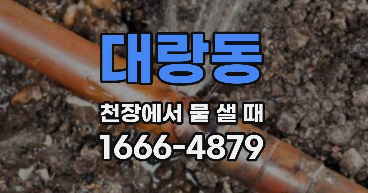 대랑동 천장에서 물 샐 때