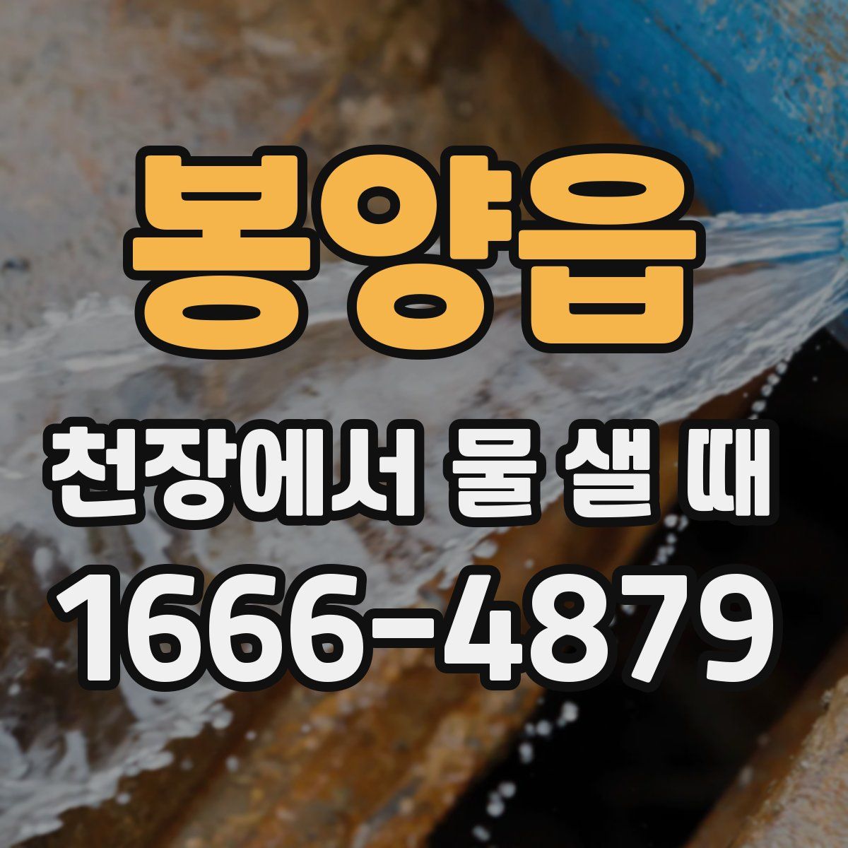 봉양읍 천장에서 물 샐 때