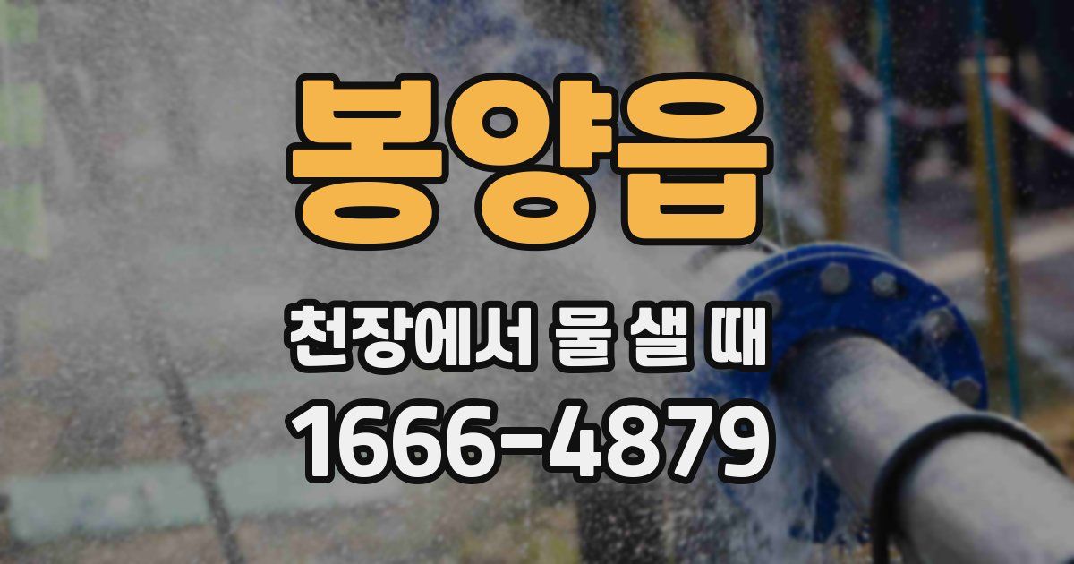 봉양읍 천장에서 물 샐 때