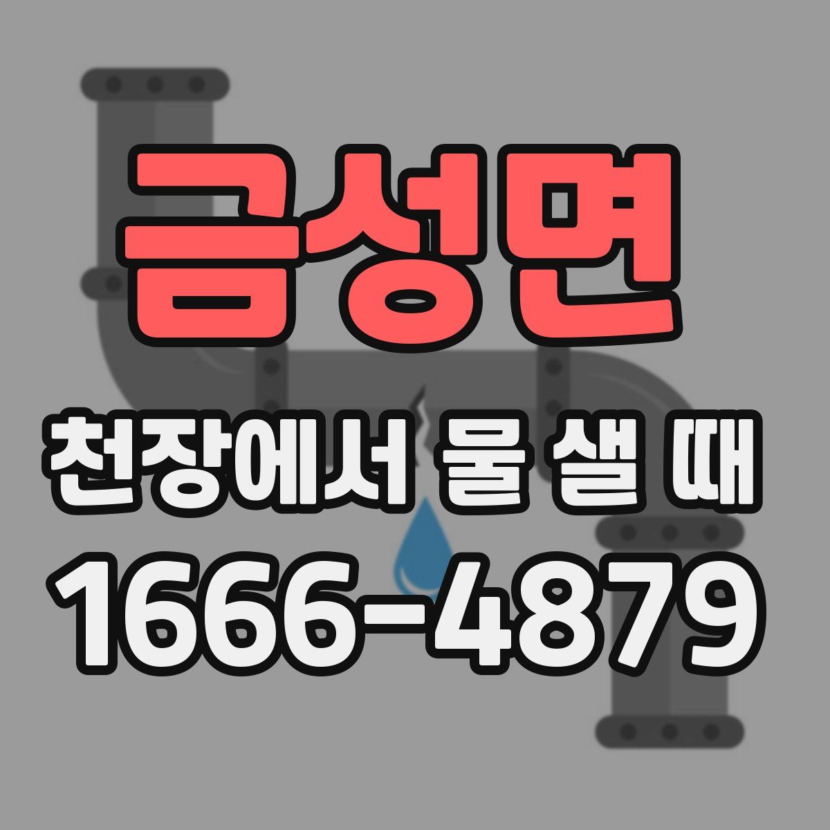 금성면 천장에서 물 샐 때
