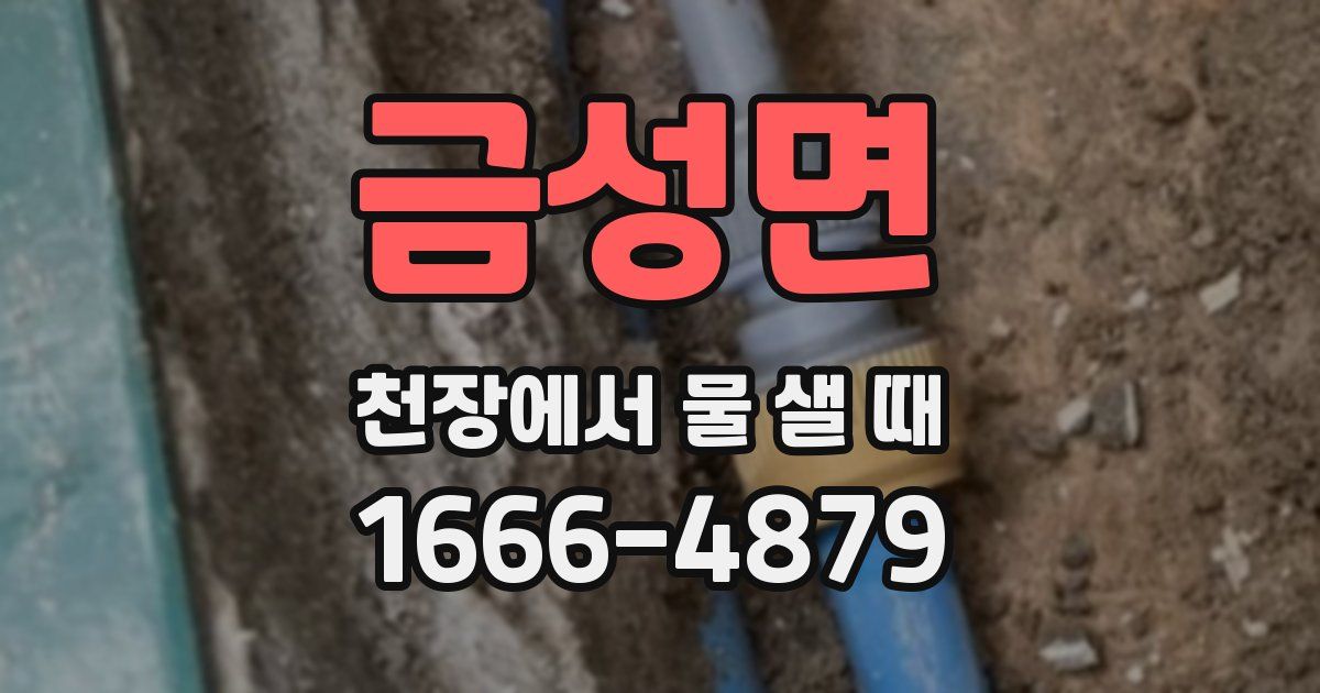 금성면 천장에서 물 샐 때