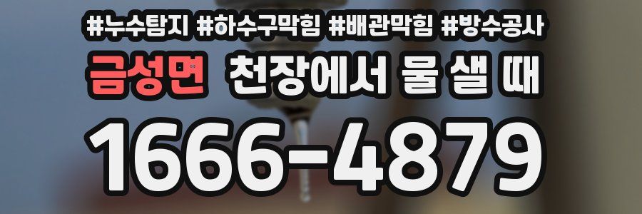 금성면 천장에서 물 샐 때