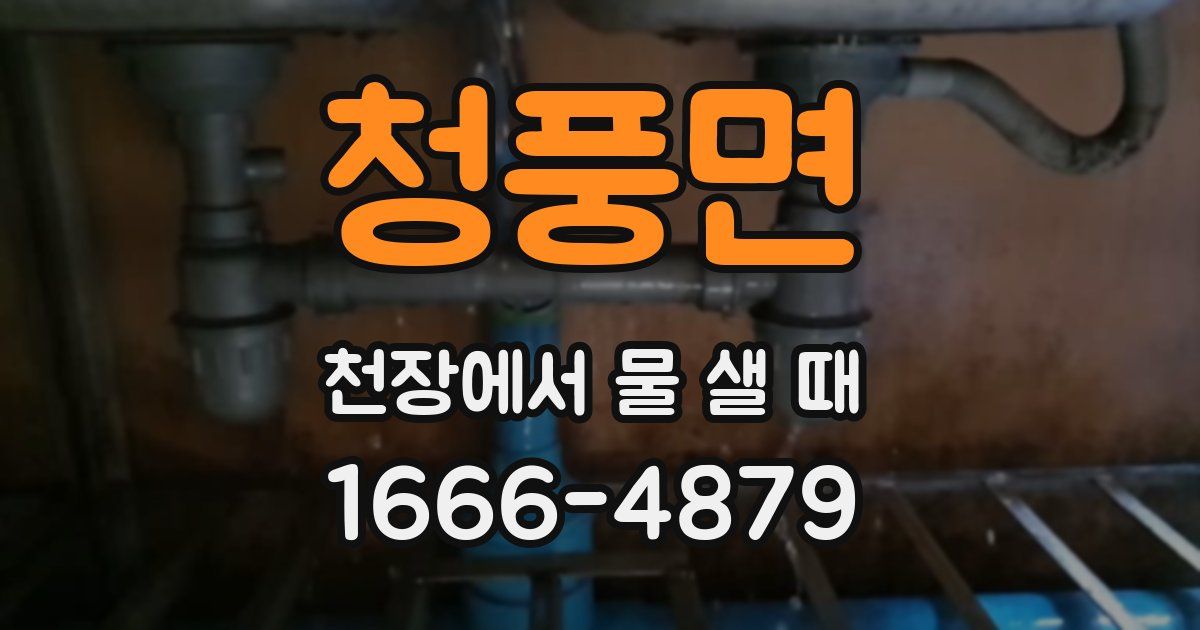 청풍면 천장에서 물 샐 때