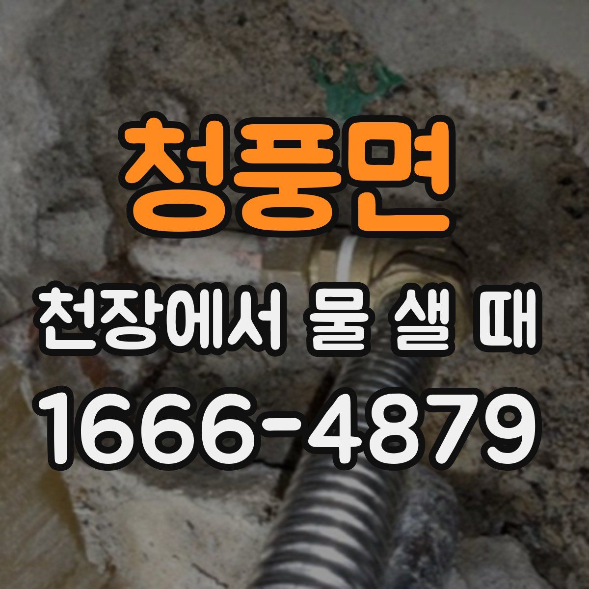 청풍면 천장에서 물 샐 때