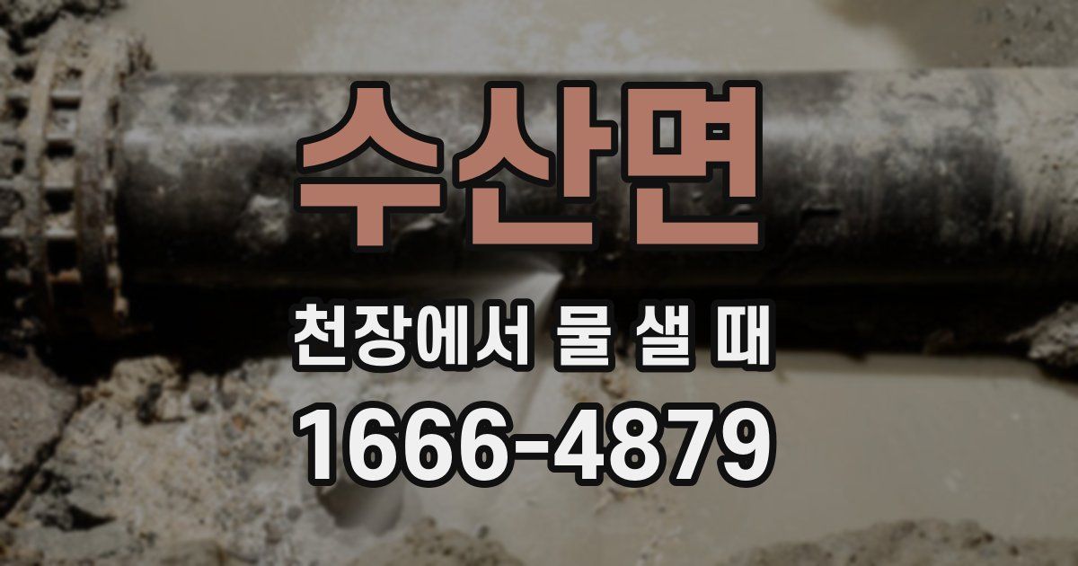 수산면 천장에서 물 샐 때