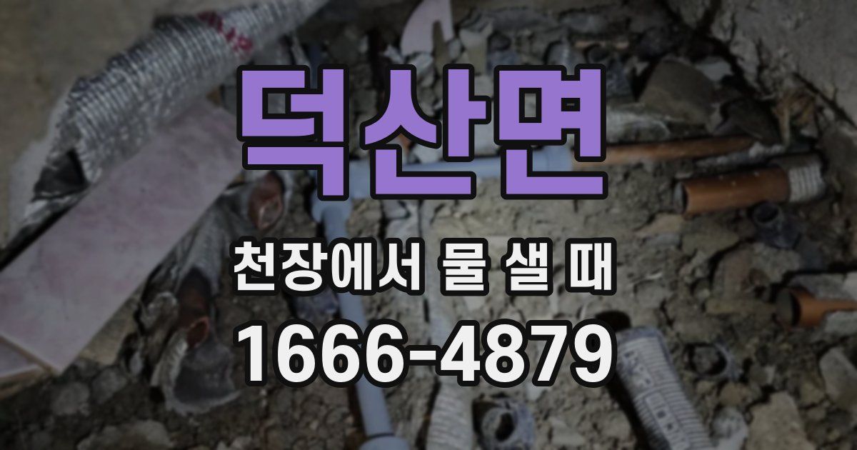 덕산면 천장에서 물 샐 때