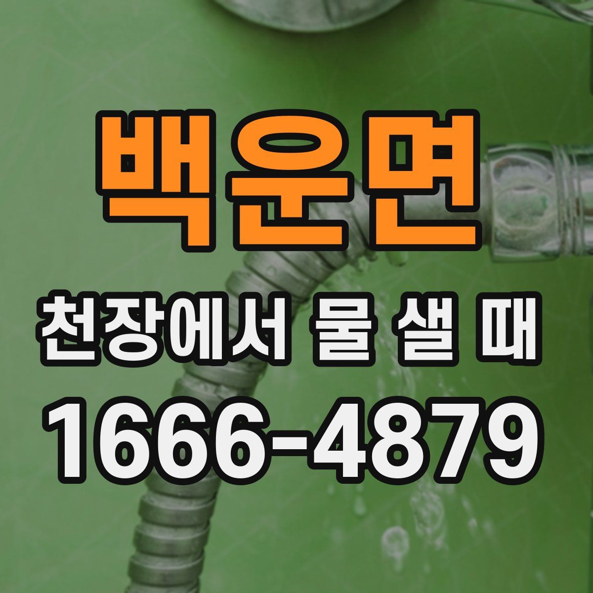 백운면 천장에서 물 샐 때
