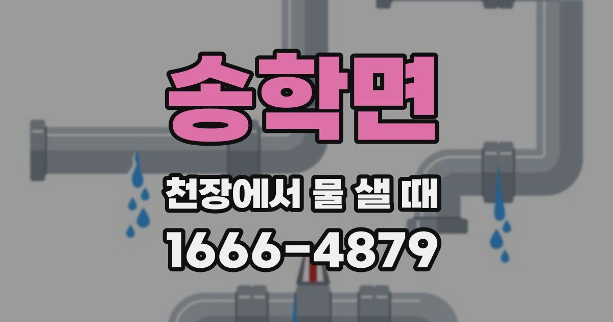 송학면 천장에서 물 샐 때