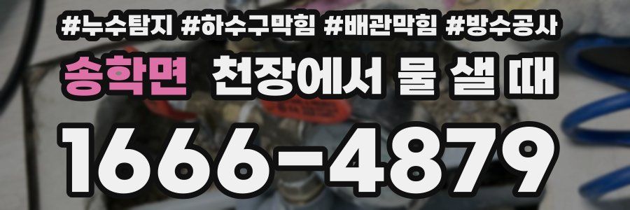 송학면 천장에서 물 샐 때