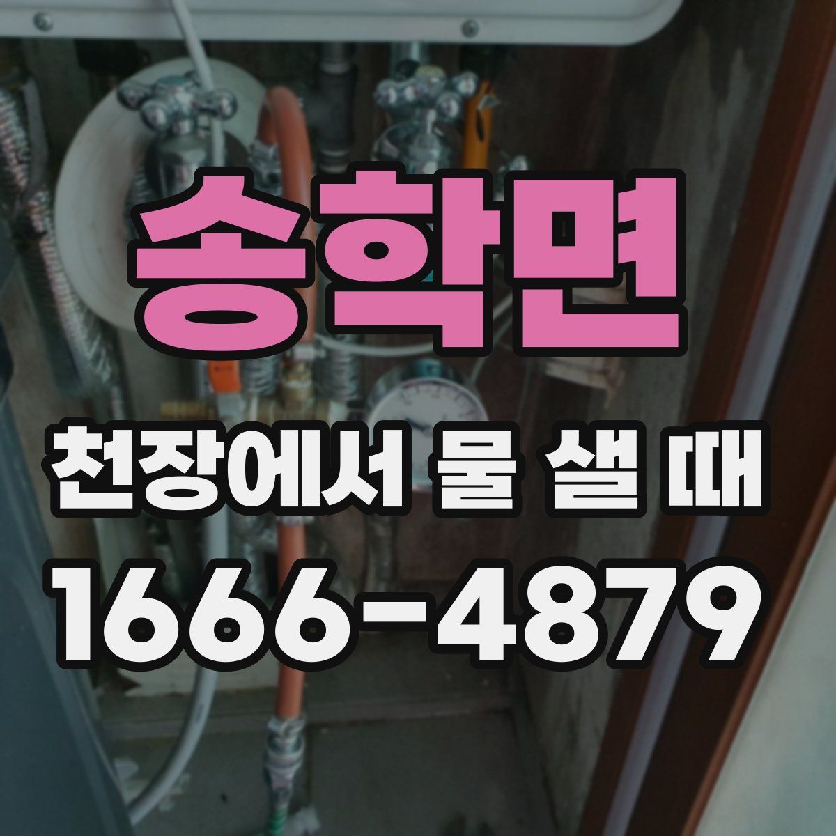 송학면 천장에서 물 샐 때