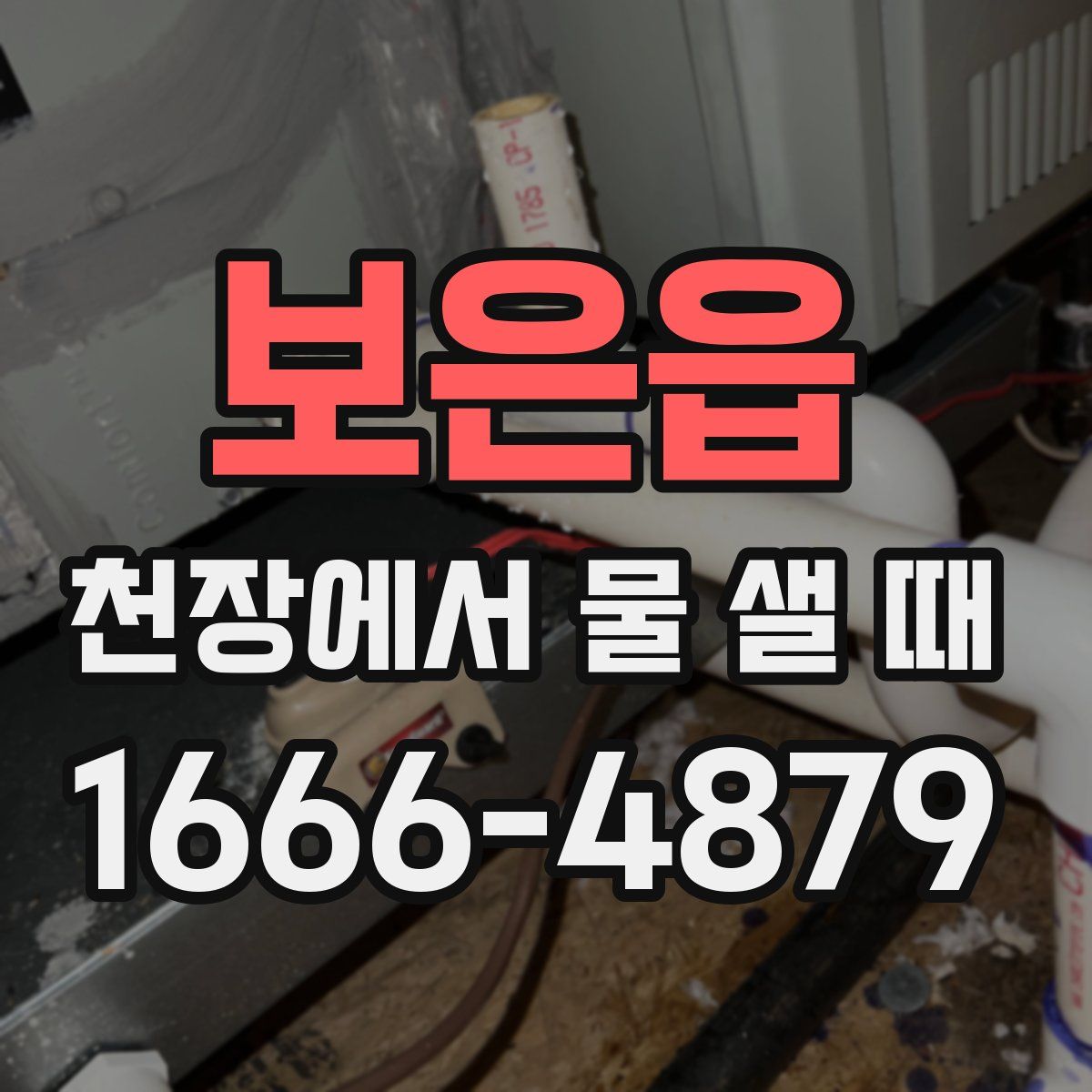보은읍 천장에서 물 샐 때