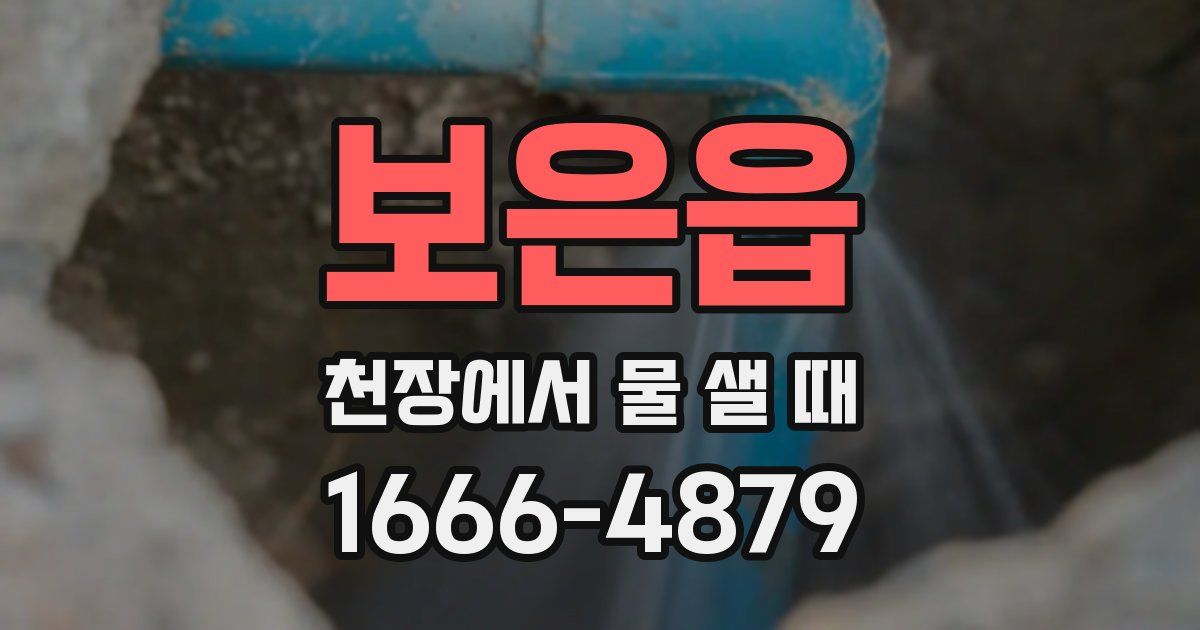 보은읍 천장에서 물 샐 때