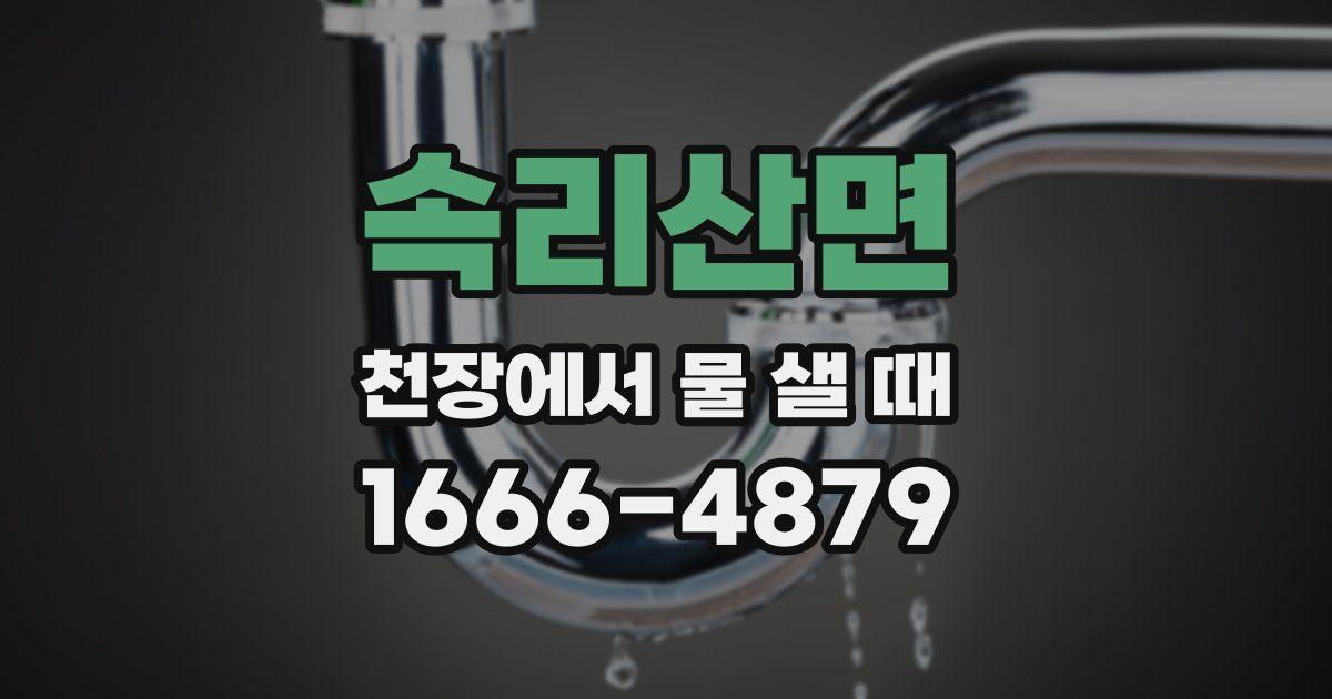 속리산면 천장에서 물 샐 때