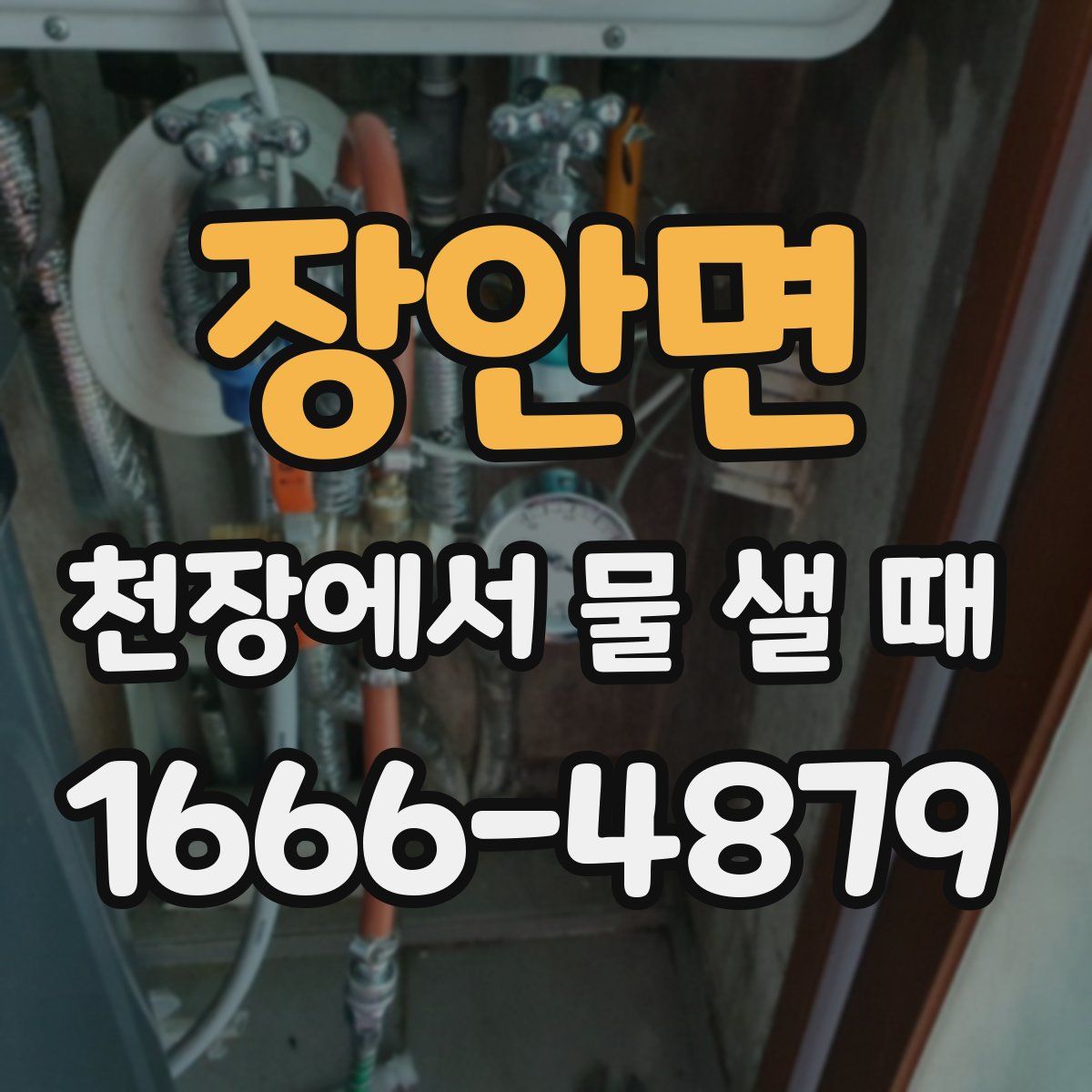 장안면 천장에서 물 샐 때