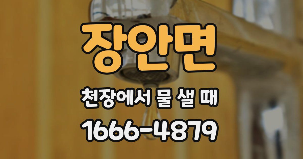 장안면 천장에서 물 샐 때