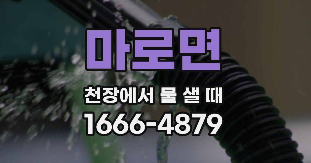 마로면 천장에서 물 샐 때