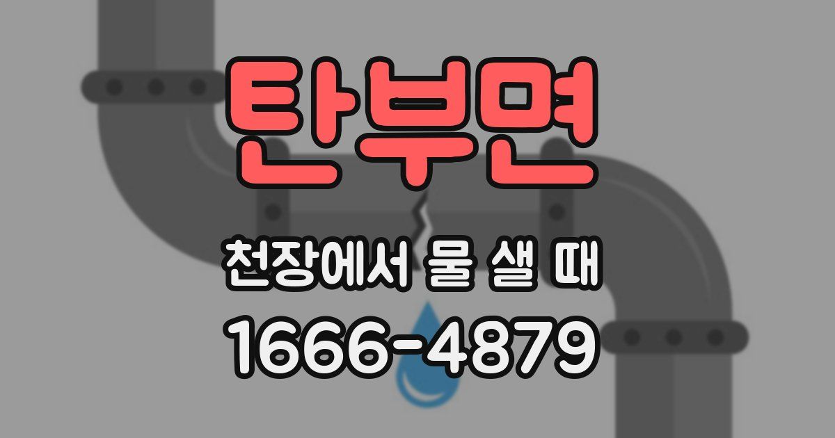 탄부면 천장에서 물 샐 때