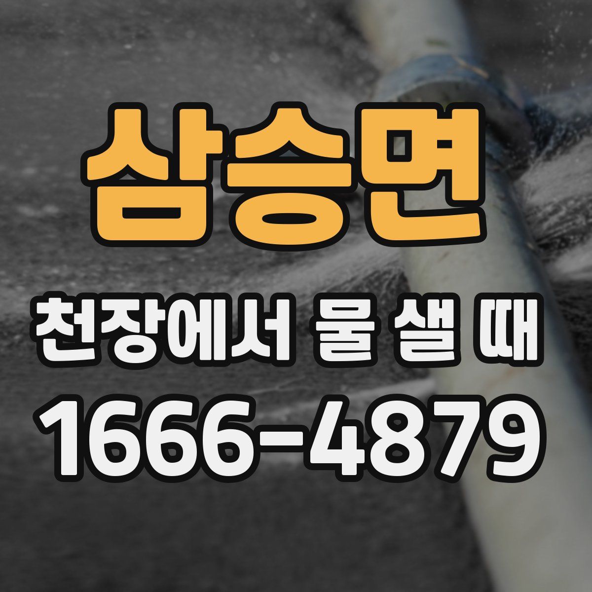 삼승면 천장에서 물 샐 때