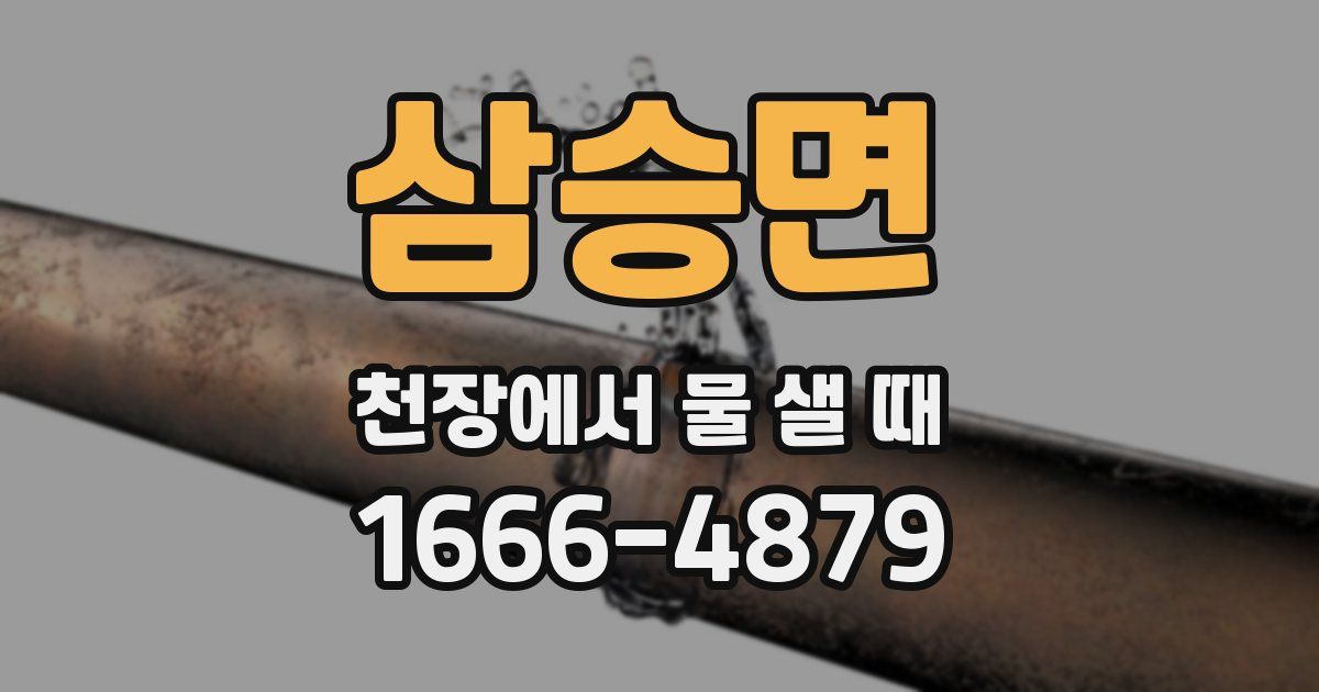 삼승면 천장에서 물 샐 때