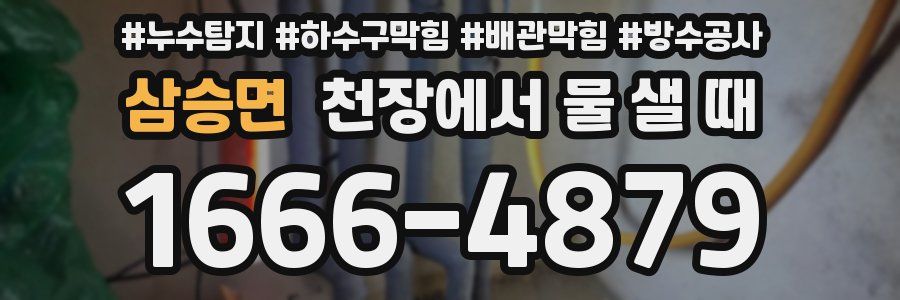 삼승면 천장에서 물 샐 때